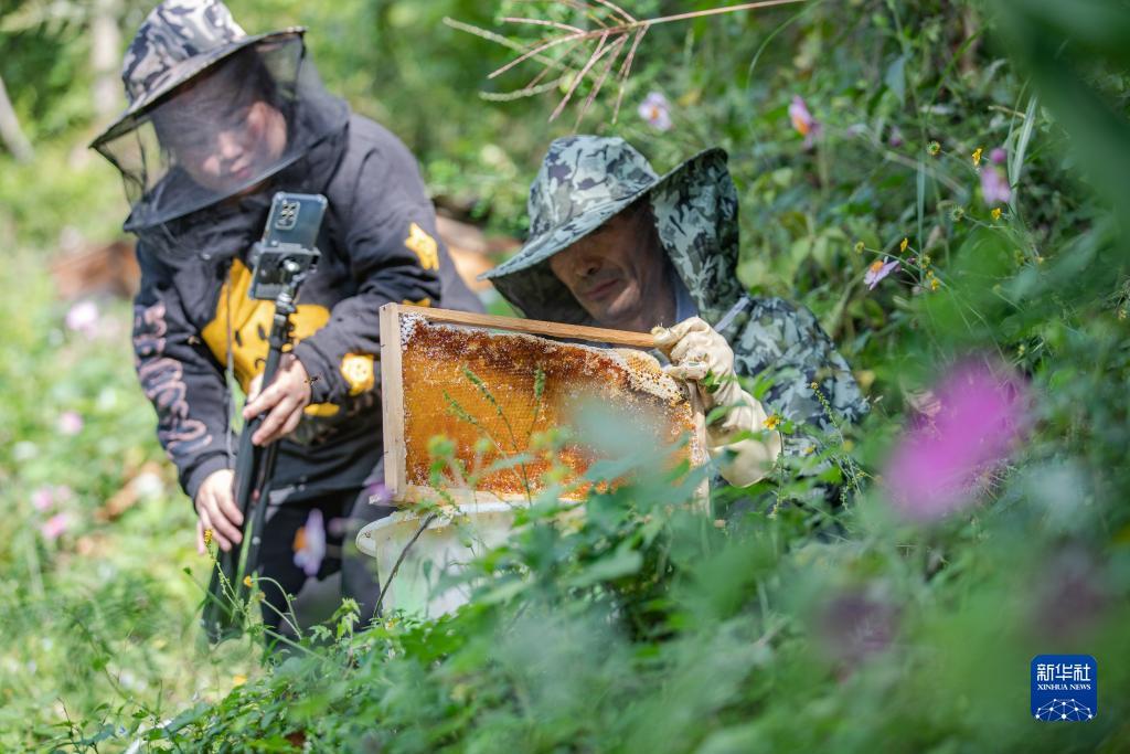 游艇会最新官方网站